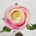 thumbnail image 3 of RXMEKW Imitating A Single Rose, 3 of 7