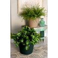 thumbnail image 3 of Akro-mils Classic Flower Pot Tan 8 Inch Pack Of 24 - 12008SANDS, 3 of 3