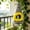 B, variant on Egg-Shaped Winter Bird Nest | Thick Insulated Hanging Birdhouse for Budgerigars Parakeets Finches Canaries C