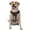 With Accessories, variant on Vsdgher Western Cowboy Snake Ram Skull Pattern Dog Harness,No Pull Pet Harness with Soft Padded Handle,Adjustable Reflective Vest with 2 Buckles,4 Slide Buckles,S-XL Medium