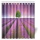 thumbnail image 1 of Cortina de Ducha ABPHQTO Verano Atardecer Paisaje Púrpura Campos de Lavanda Cielo Mágico 160x180 cm, 1 of 2