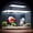 Black transparent, variant on Fish Nano Glass Aquarium, with Separator Plate for Betta, Multi-Functional Square Fish Tank with Filter, LED Light