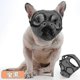 thumbnail image 1 of Bozales para perros de hocico corto, bozal para bulldog ajustable de malla transpirable para perros que mastican con fuerza, gris-naranja, S, 1 of 5