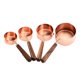 thumbnail image 1 of Juego de tazas medidoras, cucharas, juego de medición para hornear, cucharas planas, accesorios apilables Estilo B, 1 of 9