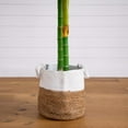 thumbnail image 5 of Nearly Natural Potted Golden Cane Palm Artificial Tree with Cotton Planter - 8' - Green, 5 of 7