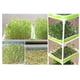 thumbnail image 5 of 3 macetas de plantación de trigo hidropónico, bandeja de plantación de brotes de doble capa (rosa) Afortunado Sencillez, 5 of 5