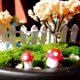 thumbnail image 5 of EeaseMX 10 mini hongos para decorar el jardín, macetas, bonsáis y micropaisaje (rojos), 5 of 7