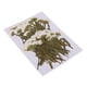 thumbnail image 1 of 50 Piezas de Flores Prensadas Naturales Sunnimix para Arreglos Florales, 1 of 8