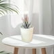 thumbnail image 5 of Jarrón decorativo de plástico para arreglos florales | Decoración para el hogar con efecto de cristal para sala de estar y mueble de TV, 5 of 6