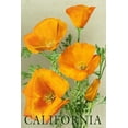 thumbnail image 1 of California, Bottom Text, Poppies (36x54 Giclee Gallery Art Print, Vivid Textured Wall Decor), 1 of 3