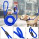 thumbnail image 3 of Correa de nailon para perro para entrenamiento de caminar, hebilla ajustable, correa para mascotas, collar de cuerda, cinturón antideslizante (azul M) Rojo Verde MX-0127704FYD, 3 of 5