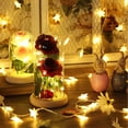 thumbnail image 2 of Tira De Luces Led De 20 Y 2 Uds. Rosa Rosa De Seda Artificial Con Pantalla De Cristal Blanco Cálido Diy Para Decoración Del Hogar Proyecto De Vacaciones Fiesta Regalo De Boda Yuarrent HA025916-02, 2 of 5