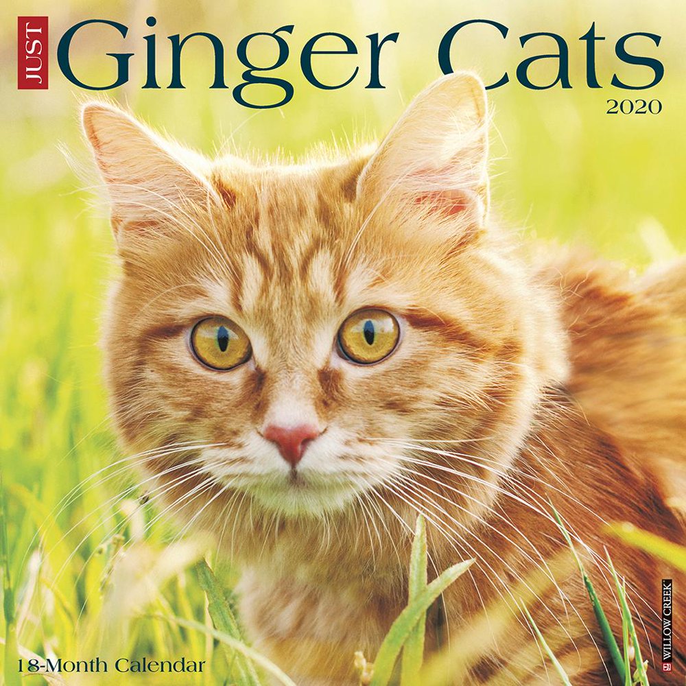 Just Ginger Cats 2020 Wall Calendar (Other) - Walmart.com - Walmart.com