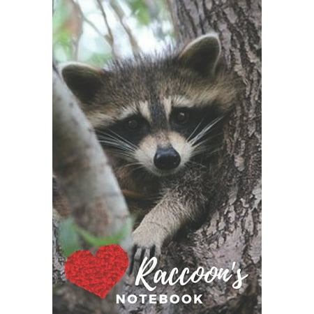 Raccoon Notebook : cute raccoons gift for children that love animals (blank lined notebook) best for writing notes and ideas for home use or as a school homework book for kids / notepad for girls / journal for journaling / raccoon (Best Animal Encounters In The Us)