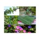 thumbnail image 5 of Clips de sujeción para jardín para plantas trepadoras con bridas – Correas de sujeción duraderas para vallas de jardín y entrenamiento, 30 m/98 pies, 5 of 5