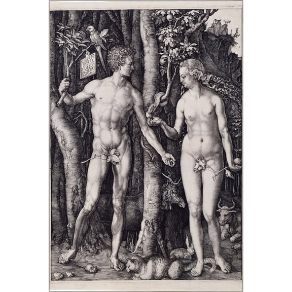 24"x36" Gallery Poster, Adam and Eve standing on either side of the tree of knowledge with the serpent by albrecht durer