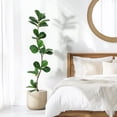 thumbnail image 6 of Artificial Fiddle Leaf Fig Tree - 5FT Fake Plant with Black Nursery Planter, Large Fake Tree for Home or Office Decor - Artificial Plants Indoor Outdoor,Housewarming Gift, 6 of 6