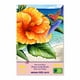 thumbnail image 2 of Rc Gold Edition 300 Pzs WuundenToy Belleza en La Playa, 2 of 7