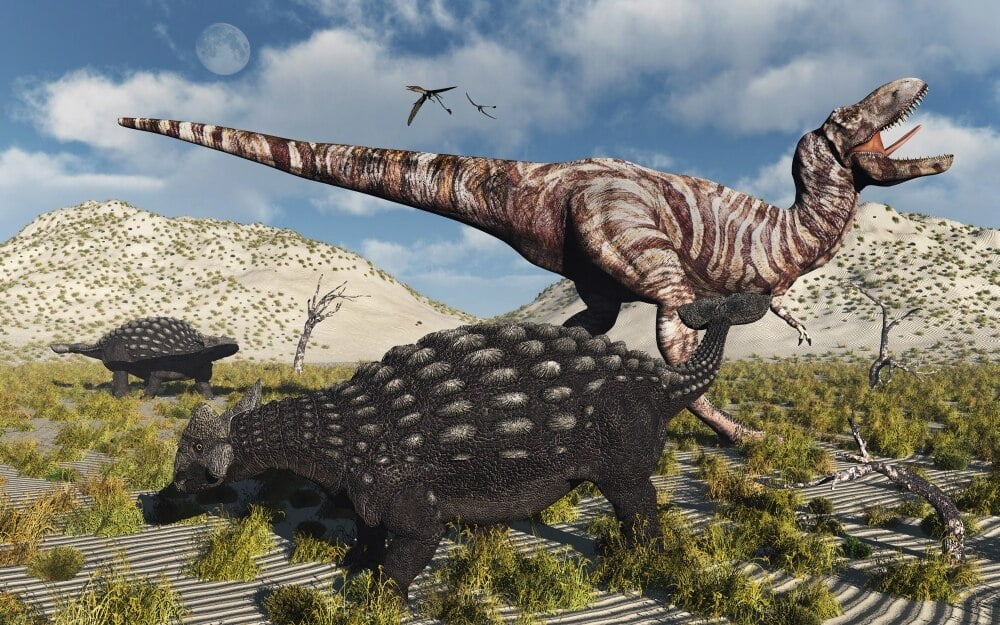 ankylosaurus and t rex