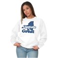 thumbnail image 4 of Upstate is Great New York Unisex Plus Fleece Graphic Sweatshirt Brisco Brands 2X, 4 of 5