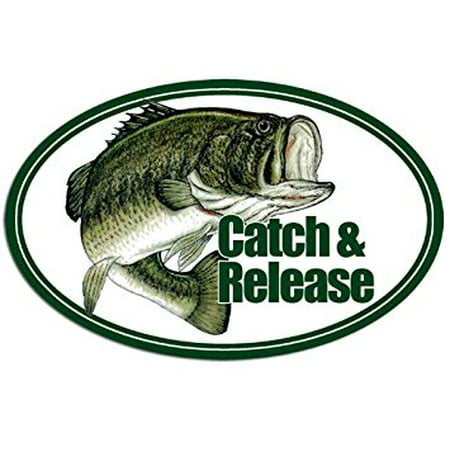 OVAL Largemouth Bass Catch & Release Sticker Decal (fish fishing lure) 3 x 5