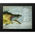 thumbnail image 2 of Fab Funky 14x12 Black Modern Framed Museum Art Print Titled - Hog Fish print on nautical map image, 2 of 5