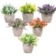 thumbnail image 1 of 6 Piezas de Plantas Artificiales Mini Macetas, Planta de Plástico, Flor Verde en Maceta, Decoración de Mesa, Escritorio de Computadora, 1 of 4