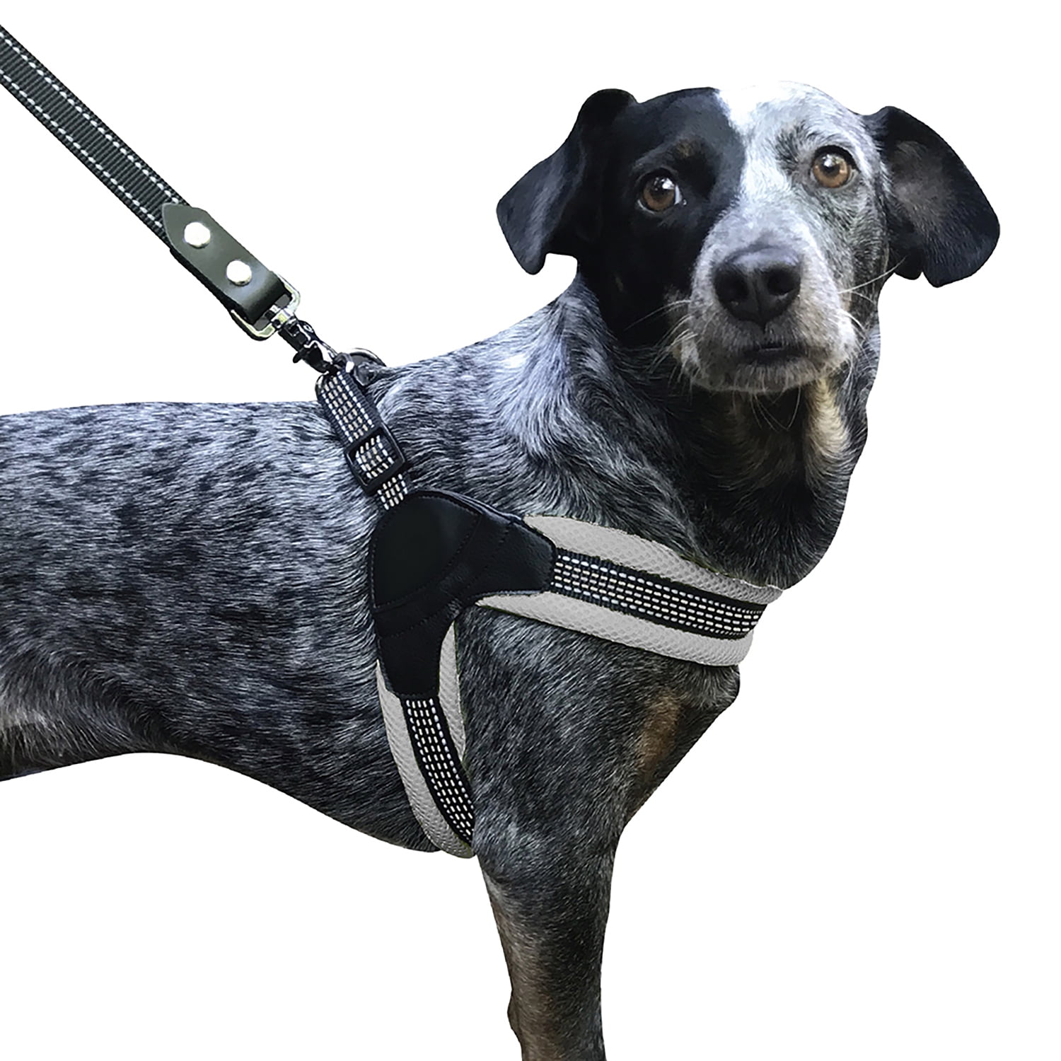 Sporn Easy Fit Dog Harness, Gray, Medium (14-24" Girth Size)
