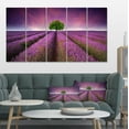 thumbnail image 1 of Lavender Field Sunset with Single Tree - Floral Canvas Art Print, 1 of 3