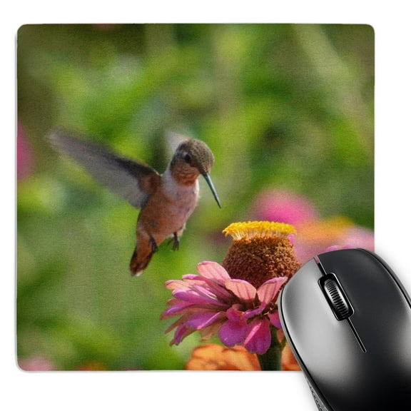 3dRose, Garden Hummingbird and Pink Zinnia Flower - Photography, MousePad