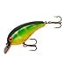 thumbnail image 3 of Coton Cordell Grand O - Perche - 2 1/4 Po, 3 of 4
