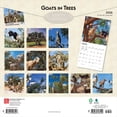 thumbnail image 2 of Goats in Trees | 2026 12x24" (Hanging) Square Wall Calendar | Plastic-Free, 2 of 9