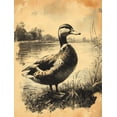 thumbnail image 1 of Qisvanset Framed Canvas Wall Art 12x16 Inch Vintage Duck Sketch Farm Nursery Printed Wall Art, 1 of 5