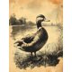 thumbnail image 1 of Qisvanset Framed Canvas Wall Art 12x16 Inch Vintage Duck Sketch Farm Nursery Printed Wall Art, 1 of 5