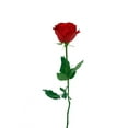 thumbnail image 2 of Red Rose Wall Decal by Wallmonkeys Peel and Stick Graphic (24 in H x 16 in W) WM117407, 2 of 4