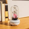 thumbnail image 6 of RKZDSR LED Rose Night Light Aroma Diffuser with Everlasting Silk Rose Flower - Humidifier and Lamp Diffuser Combo, 6 of 6
