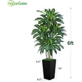 thumbnail image 2 of Keeplush 6FT Artificial Dracaena Tree with Planter, Indoor Faux Plant, Tall, Potted, 2 of 7