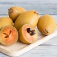 thumbnail image 5 of Brighter Blooms - Sapodilla Tree, 2-3 ft. - No Shipping to AK, AZ, HI, 5 of 5