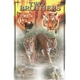 thumbnail image 4 of Two Brothers Tigers Poster 980, 4 of 11