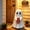 B, variant on Halloween Coke Ghost Decor, 7.87in Cute Ghost Holding Coke, Spooky Beverage Holder Figurine, Halloween Decorations For Tabletop, Party Decor & Office & Desk Display