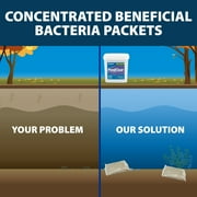 Airmax PondClear Pond Clarifier - Natural Bacteria Packets, Cleans & Treats 1/4 Acre for 6 Months, 24 Pack