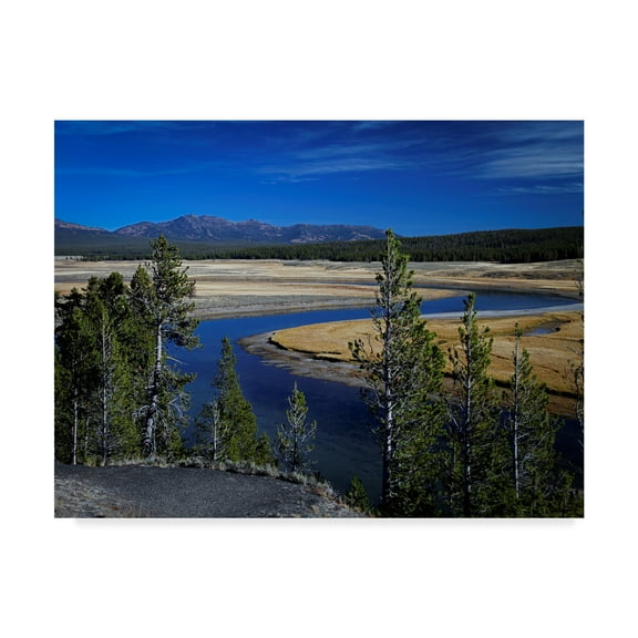 Trademark Fine Art 'Yellowstone River' Canvas Art by J.D. Mcfarlan