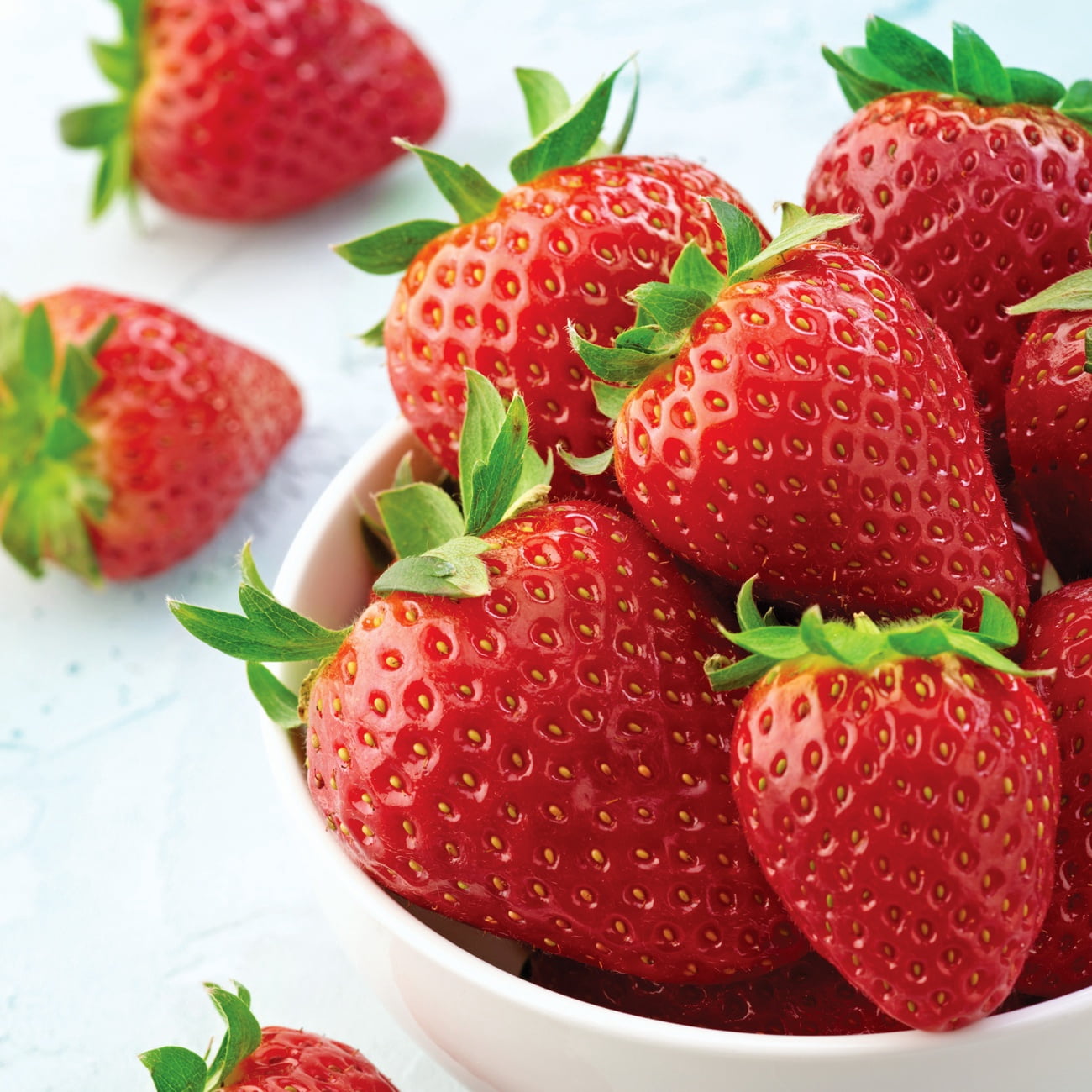Van Zyverden Junebearing Strawberries Allstar Set of 20 Plant Roots White Full Sun