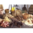 thumbnail image 2 of Van Zyverden Lily of The Valley Set of 10 Plant Roots White Partial Shade Deer Resistant 1 lb, 2 of 6