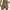 Khaki, variant on Dagugfen Shorts for Men Elastic Waist Loose Solid Color Lightweight Summer Beach Trainning Trackshorts
