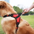 thumbnail image 3 of Small Medium Large Dog Harness Nylon Reflective Collar Vest Harnesses For Dogs Training Husky Alaskan Bulldog Breast-band Belt, 3 of 5