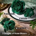 thumbnail image 3 of Set de construcción de ramo de rosas verdes iATOM de 12 piezas, flores artificiales, 3 of 5