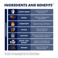 thumbnail image 5 of Host Defense Stamets 7 Mushroom Powder - 7 oz (133 Servings), 5 of 8