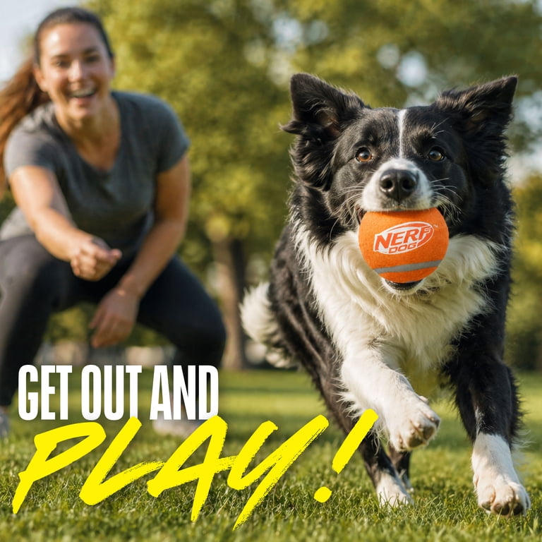 Nerf Dog Squeak Tennis Ball Toy, 4-Pack photo 6