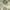 Beige, variant on Rugs.com El Paso Collection Rug – 6 Ft Runner Beige Medium Rug Perfect For Hallways, Entryways